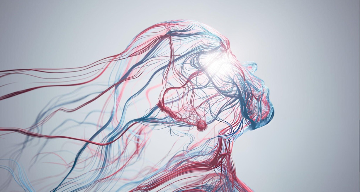 Strategic brand solutions and creative branding concepts